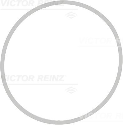 VICTOR REINZ Прокладка, корпус впускного коллектора 71-39409-00